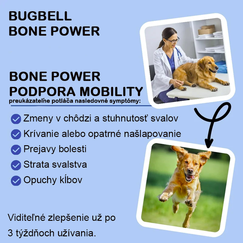 Bugbell Bone Power Soft Sticks 60g info